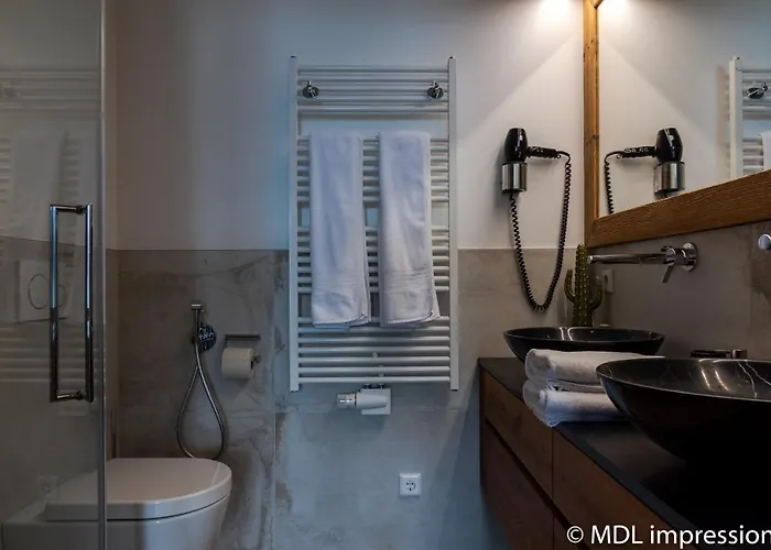 Adlerhorst 1 Zell Am With Private Sauna And Zell Am Kaprun Summercard In Summer Апартаменты Целль-ам-Зе